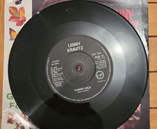 Lenny Kravitz I Build This Garden For Us 7 inch single
