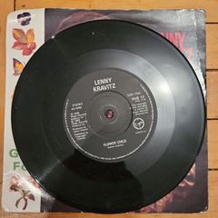 Lenny Kravitz I Build This Garden For Us 7 inch single