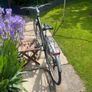 Ladies Bike Image 2
