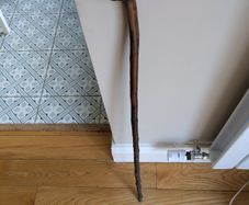 Irish waking stick