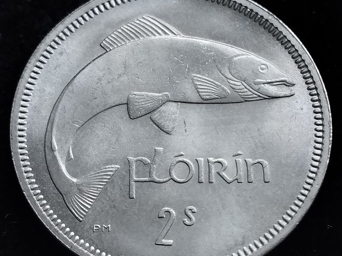 Ireland - 1966 - Florin - Salmon - KM.15a - High Grade - [2687]