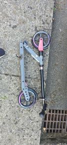 adult scooter