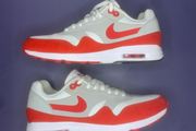 Get Rare Nike AM1