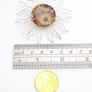 Vintage 925 Sterling Silver Real Flowers Sun Brooch Image 10