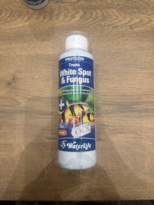 Protozin  white spot fungus