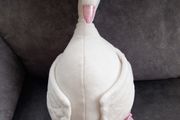 Child's Swan Backpack