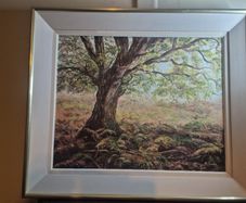 oil painting by Maura Jones forest landscape
