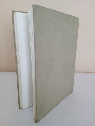 The Young Rider Picture Book by Golden Gorse (PT260)