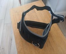 Dog Chest Collar