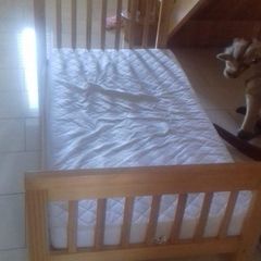 cot bed