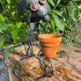 Garden Image 4