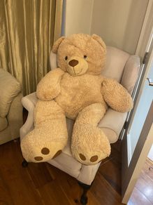 large teddy bear