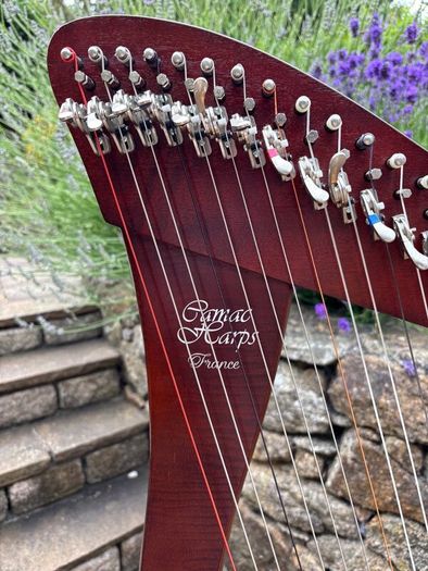 Harp