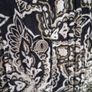 Shirt Image 5