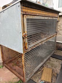 Rabbit cage