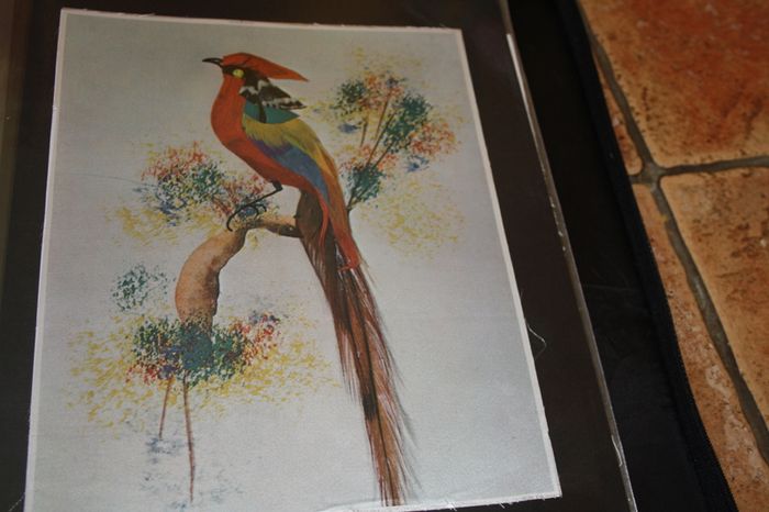 unframed silk picture