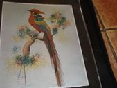 unframed silk picture