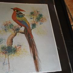 unframed silk picture