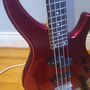 Yamaha trbx174