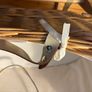 Beautiful straw Moses basket with Clair de lune rocker and two Clair de lune covers Image 6