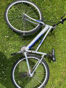 Apollo excelle womens bicycle