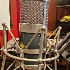 Chandler Limited TG Microphone - Large-Diaphragm Condenser Microphone