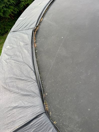 Plum Trampoline