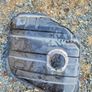 vintage / cladsic car fuel tank Image 8