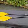Kayak Paddle Image 3