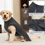 Dog Coat Large Image 4
