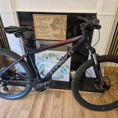 carrera vengeance ebike