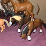 Toy Horse Collection Image 4
