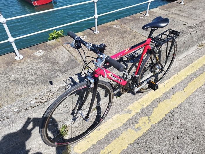 Paganini Hybrid Bike