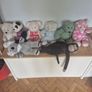 Buildabear and Outfit Image 2