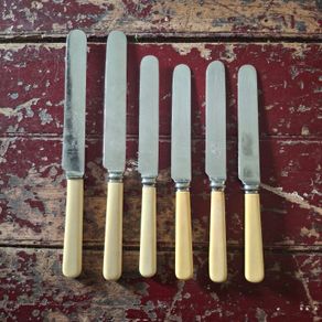 Faux Bone Handle Knives
