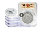 0546 10Pcs Universal 46mm Coin Holder Capsule Organizer Box Display Slab with Foam