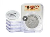 0546 10Pcs Universal 46mm Coin Holder Capsule Organizer Box Display Slab with Foam