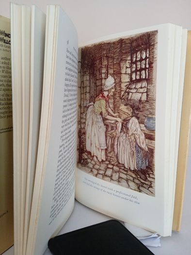 The Wind in the Willows by Kenneth Grahame. Illustrated by Arthur Rackham (PT170)