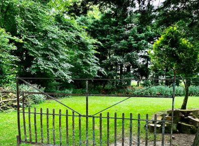 garden