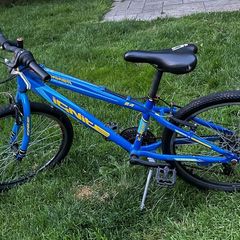 2 kids bikes 24"