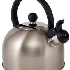 Boil It Whistling Kettle 1L in Gold