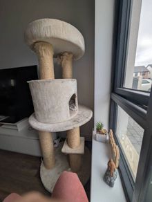 Cat tree