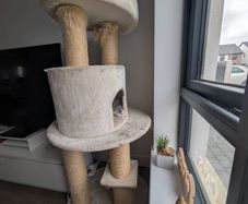 Cat tree