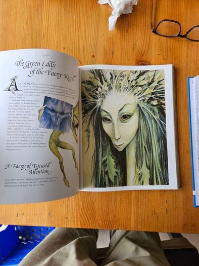 Good Faeries Bad Faeries. By Brian Fraud. First Edition Large Volume Paperback In Good Condition.  See Photos For Same.
