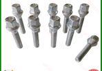 10 x New Long Bolts (50mm) Fit BMW 1,3,5,Z Series (CP10) - Delivery