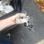 renault scenic 2010 parts Image 3