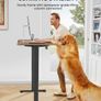 Electric Standing Desk Height Adjustable 120 x 60 cm Image 5