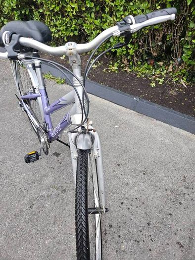 Giant Bike