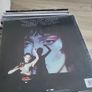 Birdy Autographed portraits sealed vinyl with signed picture Image 5
