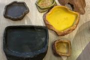 Bundle of Reptile Acessories Feeding Bowls
